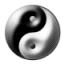 040107_yin_yang.gif